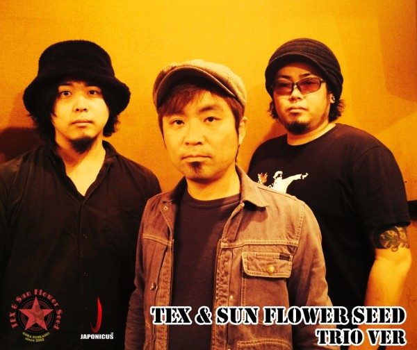 TEX & Sun Flower Seedトリオ